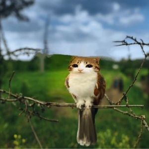 Meet your Posher, Leilei